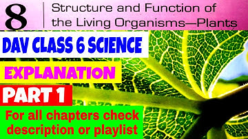 DAV CLASS 6 SCIENCE CHAPTER 8 STRUCTURE AND FUNCTION OF THE LIVING ORGANISMS PLANTS | PART 1