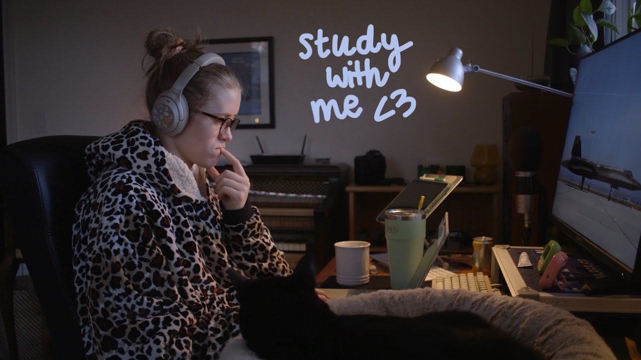 6AM study with me for PA school finals (50/10 pomodoro, no music)