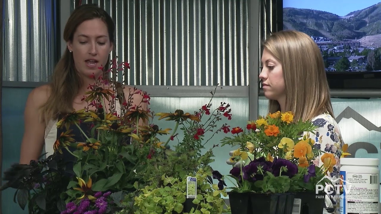 Park City Nursery: Planting Fall Containers - PCTV Reports