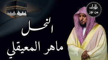 ماهر المعيقلي من الحرم المكي - سورة النحل (مُرتَّل)