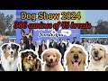 Jamshedpur dog show 2024 dog show jamshedpur  jamshedpur dog show kennel club 2024 dogtata