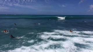 Waikiki Beach Walls Boogieboarding Bodyboarding