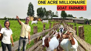 How He Makes PROFITS On An ACRE Of LAND! | Feeds, Housing, Water for GOATS! (DEATILED)