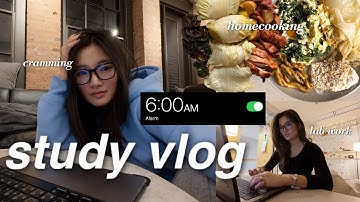 productive study vlog | cramming for exams, my flashcard system, how i still feed myself