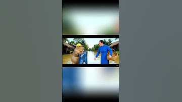 Capybara và bà đi câu cá và cái kết #capybara