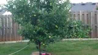 DSCF7049.AVI
