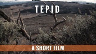 TEPID - Colorado 3rd Season Mule Deer Hunt