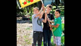 TTNW Foundation Radio:  Common Threads Farm & Farmer Frog
