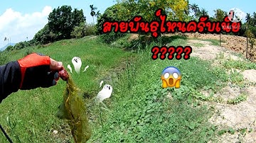 Ep.68 ปลาช่อนหมายข้างทางแก่งกระจาน...เกือบไม่รอด
