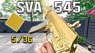 SVA 545 (ROAD TO INTERSTELLAR)