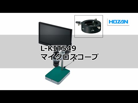 動画