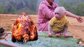 รถตู้และบูบูลิงทำไก่ย่างทั้งตัวเพื่อสุขภาพที่ดี