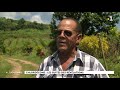 Eau contaminée en Martinique
