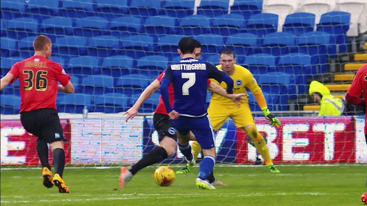 THANK YOU PETER WHITTINGHAM