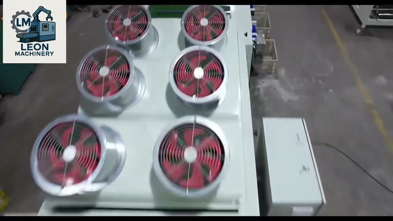 Fully Automatic Date Sorting Machine | High-Speed 4-Lane Grading & Vision Sorting | Leon Machinery