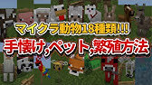 マイクラ1 14 キツネ Fox 生態 繁殖方法 スポーン条件 捕獲方法を詳しく解説 マインクラフト Snapshot 19w09a Youtube