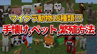 【マイクラ統合版】マイクラ内でペット,繁殖可能な全動物18種類のやり方について解説【PE/PS4/Switch/Xbox/Win10】ver1.16