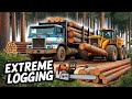 Close-up of the Dramatic Logging Process