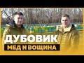 Дубовик – вощина, 700 пчелосемей итальянки, цена на мёд