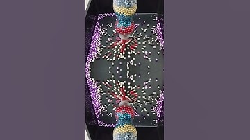 Colourful Pearls Drop from the Bottle. #shorts #asmr #satisfying #beads #pearl #oddly #button #drop