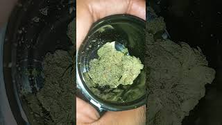 by gleaf key city runtz new strain review TASTE BUDS