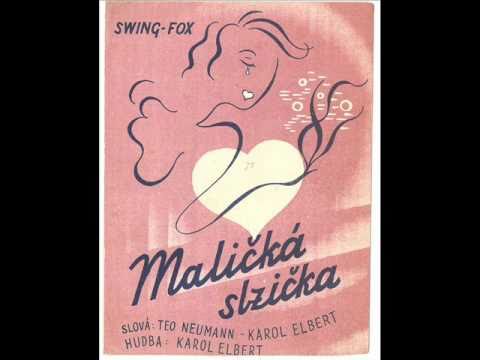 Malik slzika- Viera Rackov