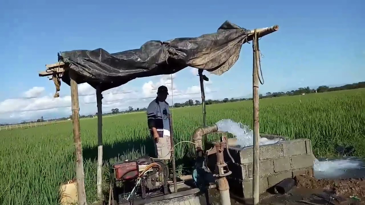 Rice Field Irrigation System Life In Philippine Countryside Waterpump