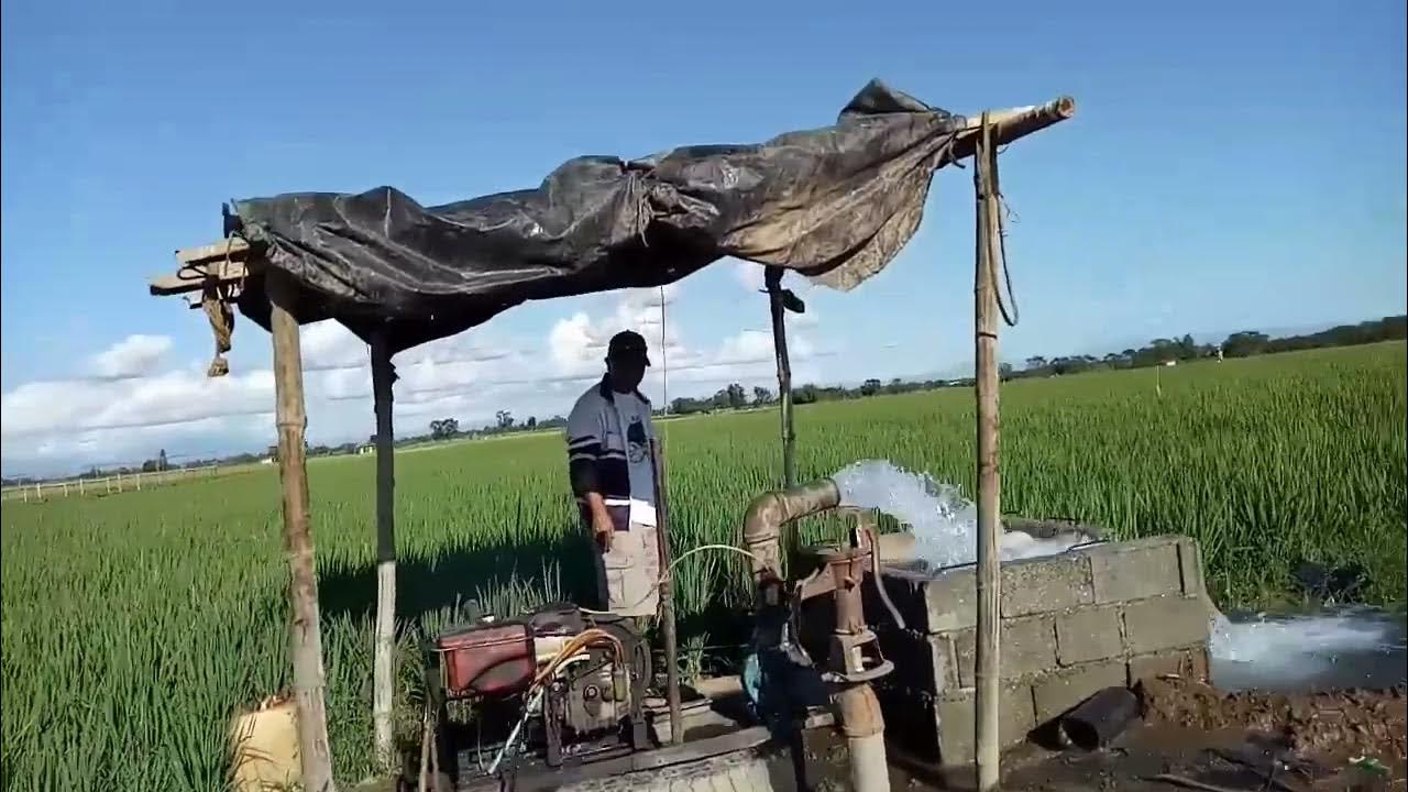 Rice field irrigation system, Life in Philippine countryside, Waterpump system, Patubig sa bukid