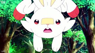 [AMV] Scorbunny/Raboot/Cinderace - Ignite