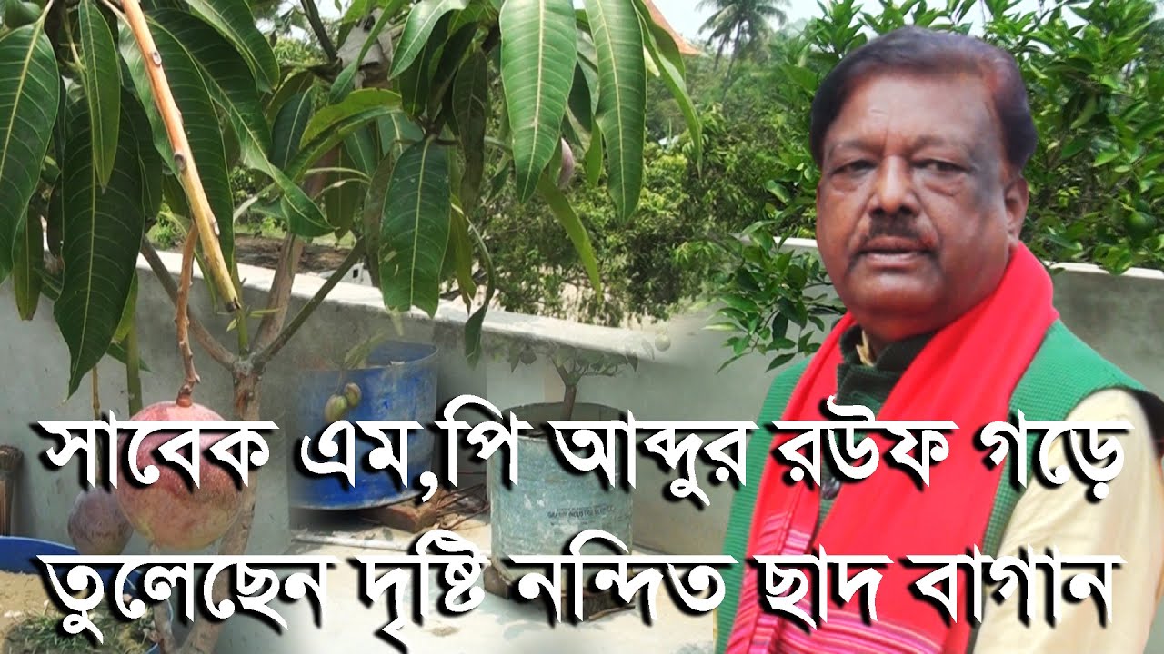 সাবেক এমপি আব্দুর রউফ গড়ে তুলেছেন, দৃষ্টি নন্দিত ছাদ বাগান | Past MP ...