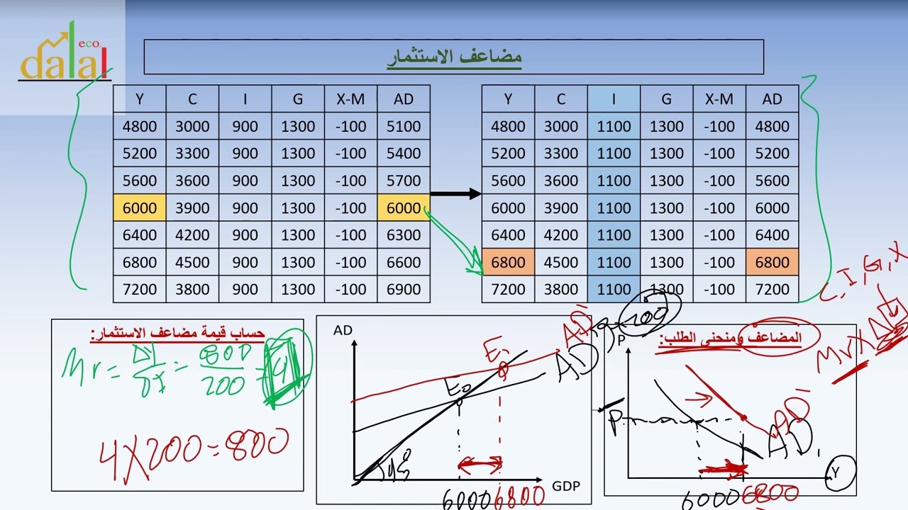 المحاضرة الخامسة 1/2