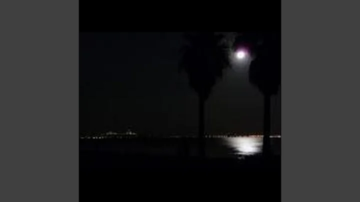 Inside the Night