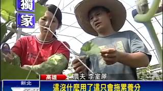 大學畢業返鄉務農 打造新農業－民視新聞