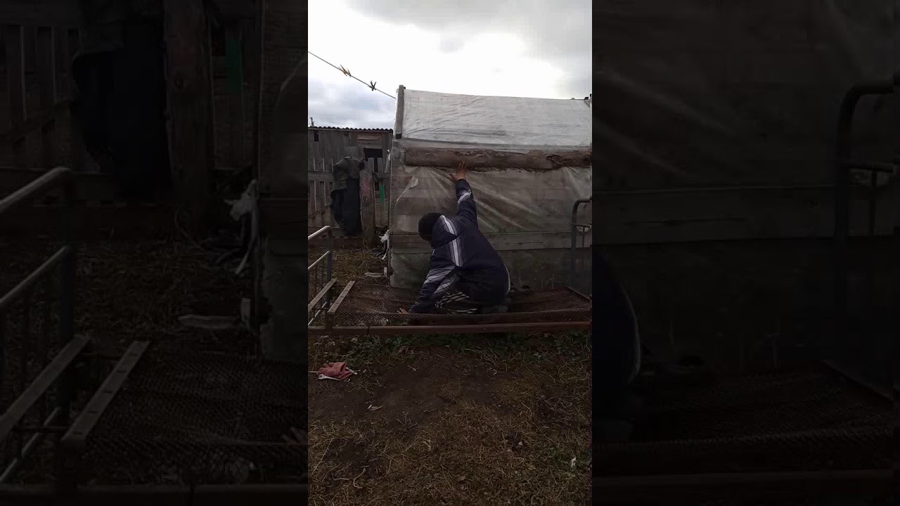 Прыгнул на капот