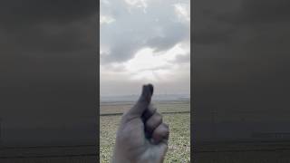 Finger Snap Transition