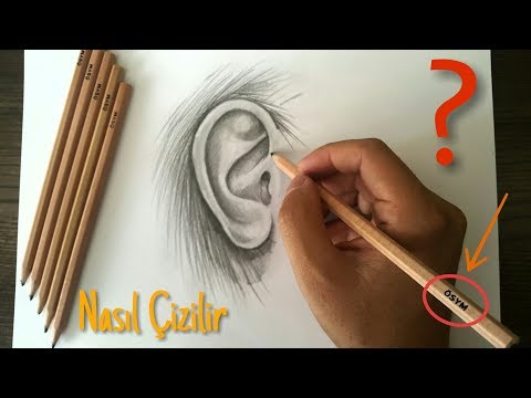 Video: Adım Adım Kurşun Kalemle Insan Kulağı Nasıl çizilir