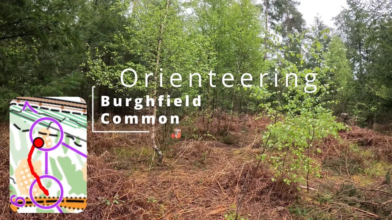 Orienteering - Burghfield Common 