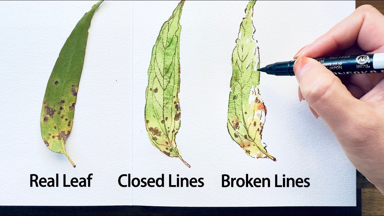 Line and Wash Tutorial: Two Ways to Draw Eucalyptus Leaves