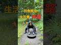 田舎移住、舐めた奴の末路。