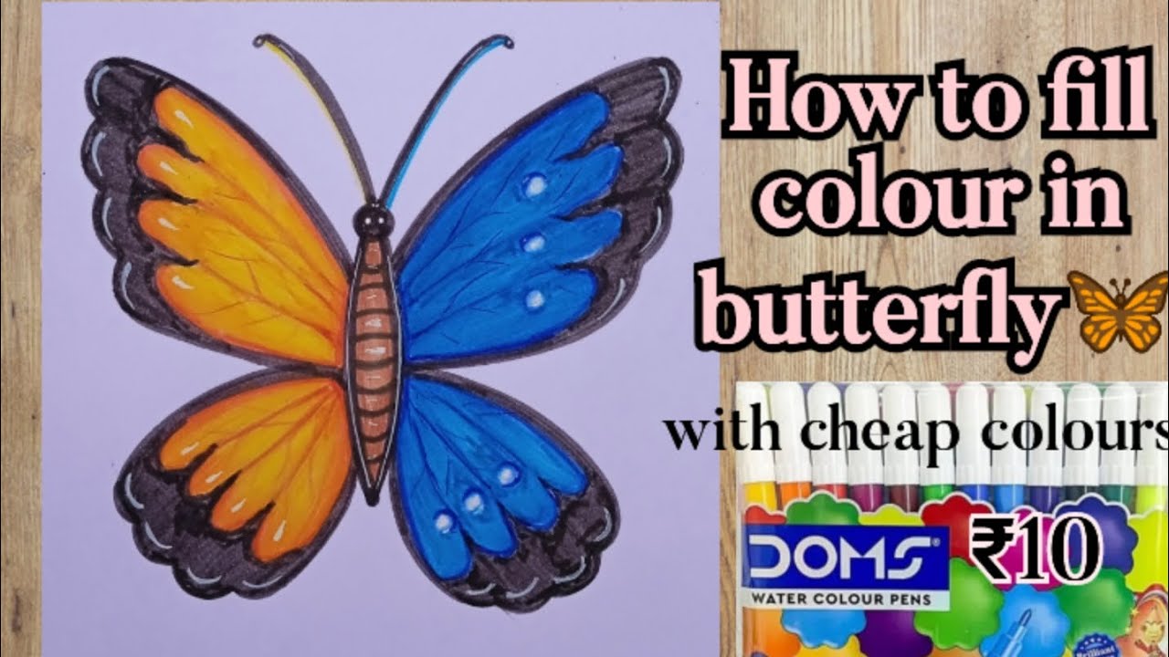 how-to-fill-colour-in-butterfly-using-cheap-colour-10-doms-colour