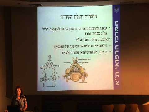 כאבי גב - לא חייבים להמשיך לסבול