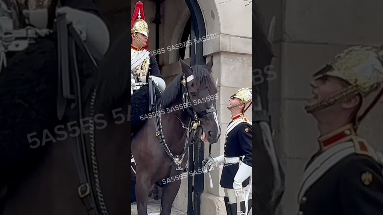 The King’s Guard — A Jolly Side You Don’t See Often 😄