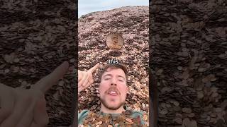 1sub = 1$ I lost 500’000 in 7 days# give away# challenge #shortsviral