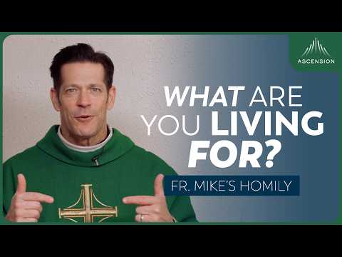 Homily by Fr. Mike Schmitz