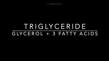 Triglycerides