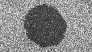 KPZ universal fluctuations at growing interfaces of liquid-crystal turbulence 1: circular case