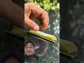 #food #mango #petpad #youtubeshorts #naagin #duet #funnyanimal #funnypet #fruit #pet #bestyoutuber