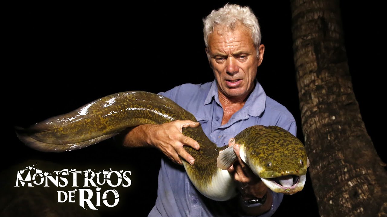 Terror en el Pacífico Sur: Dos Asaltantes Submarinos | T7 E05 | Monstruos de Río