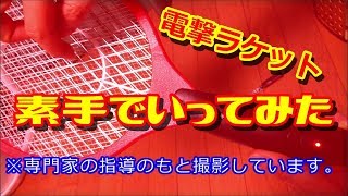 電撃ラケットに触って蚊の気持ちを味わってみよう