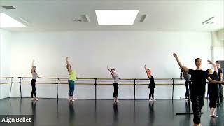 Total Adult Beginning Ballet Class - Align Ballet Method